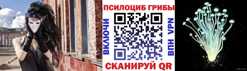 Псилоцибиновые грибы прущие грибы  Дедовск 
