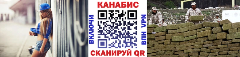 Конопля сатива как найти закладки Дедовск